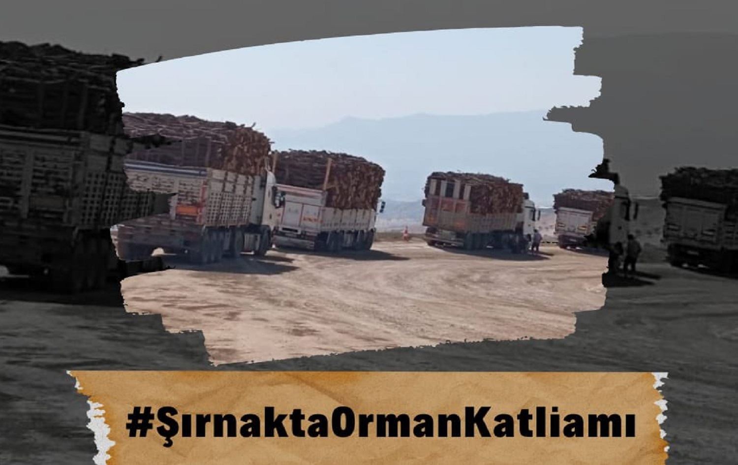 Baroya Şirnexê: Em dixwazin kiryarên darbirînê bên diyarkirin