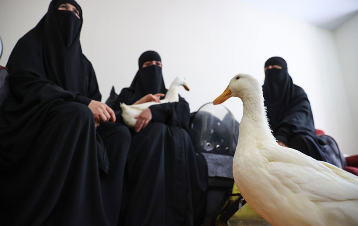 Göletten ördek çaldıkları iddia edilen Iraklı kardeşler konuştu