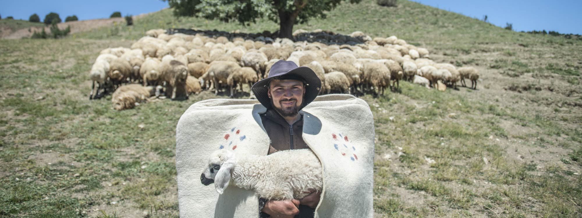WÊNE – Dêrsim: Koçeriya li zozanên bi qasî 3000 metreyan bilind