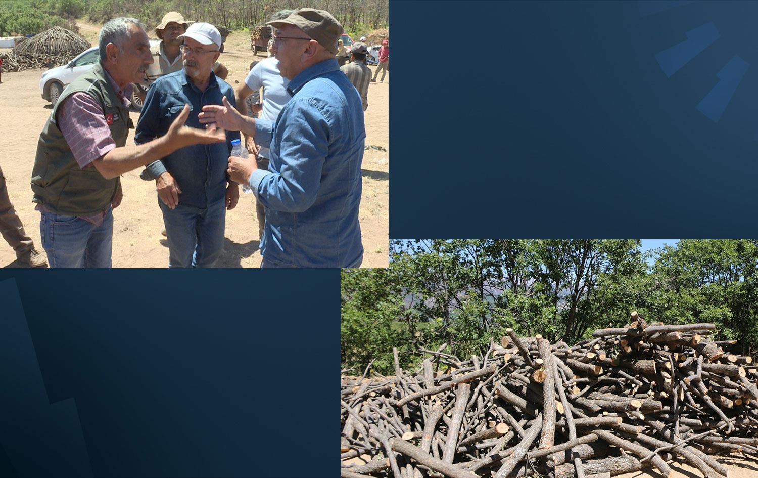 Dersim’de yaş ağaç kesimi: Milletvekili ile firma yetkilileri arasında tartışma!
