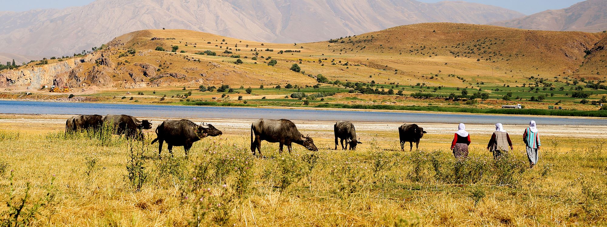 WÊNE - Li Wanê jin bi xwedîkirina gamêşan zarokên xwe didin xwendin