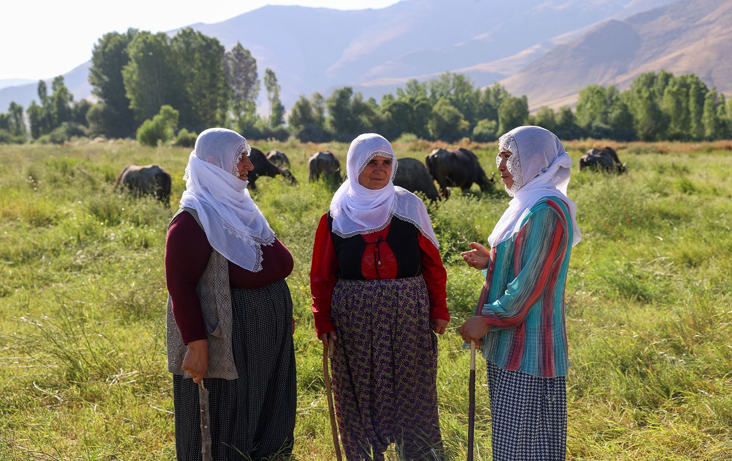 Li Wanê 3 jin bi xwedîkirina gamêşan zarokên xwe didin xwendin