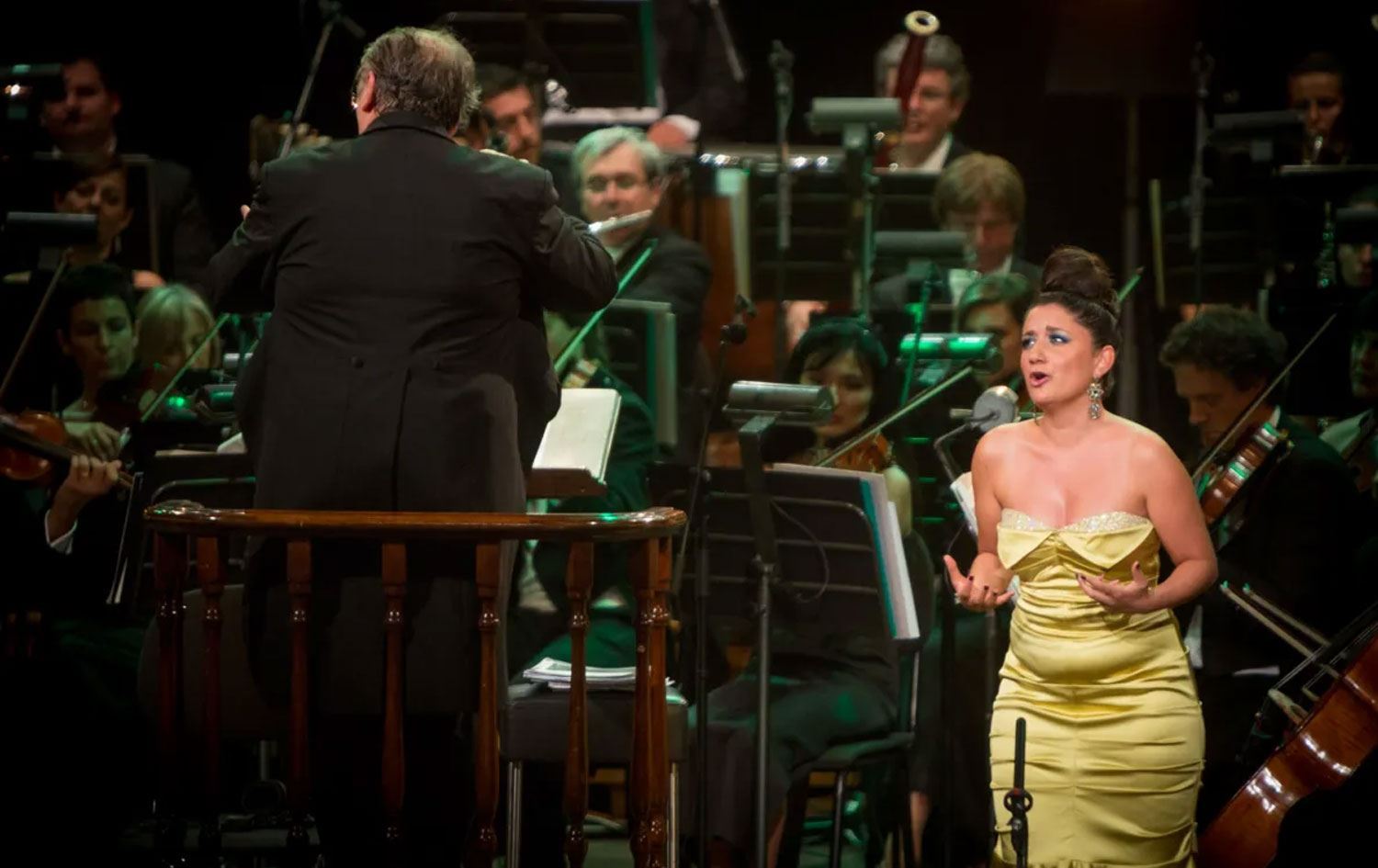 Zanîngeha Artukluyê ji ber Kurdî rê neda konsera Pervîn Çakar