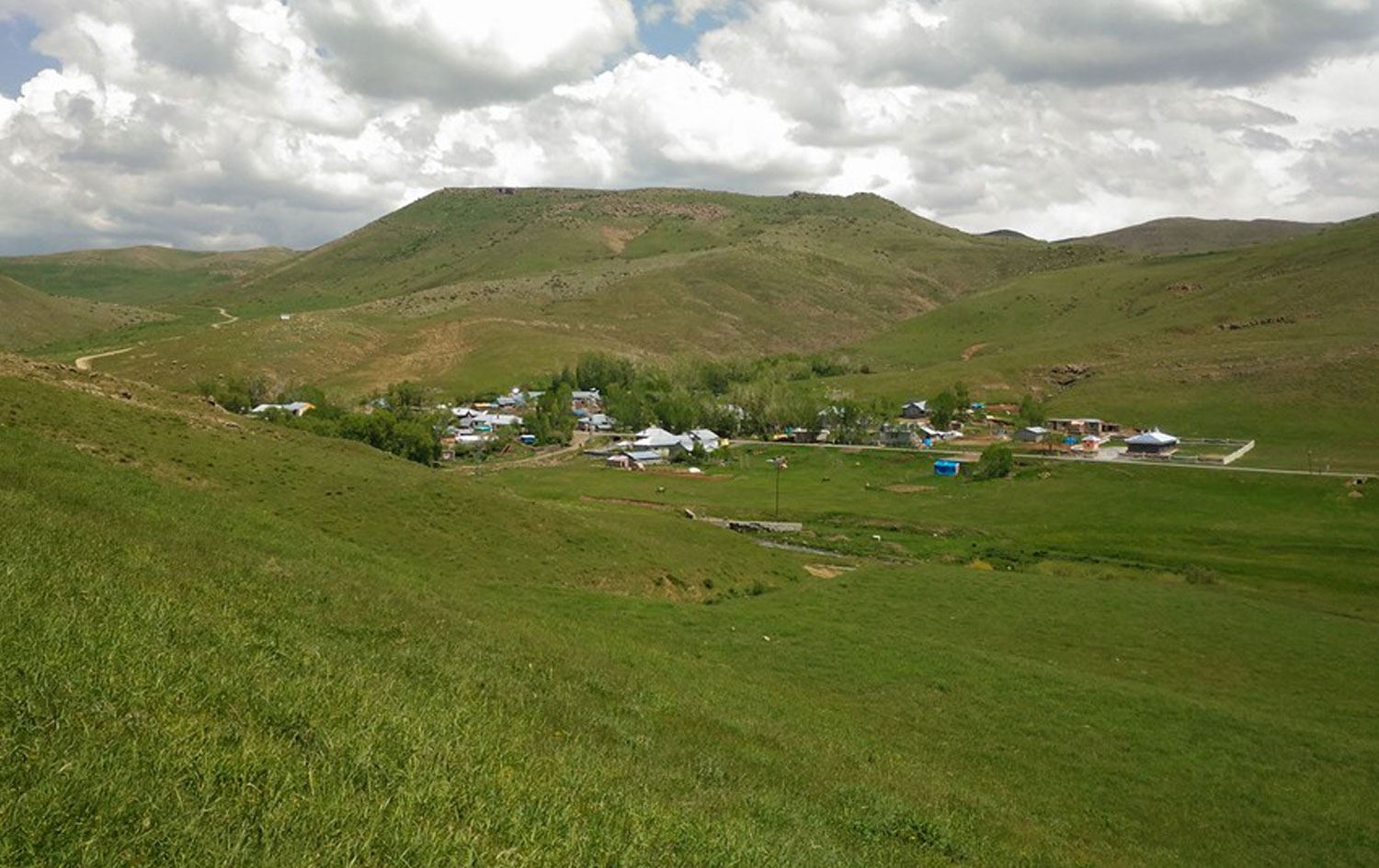 AĞRI – Camide akraba cinayeti