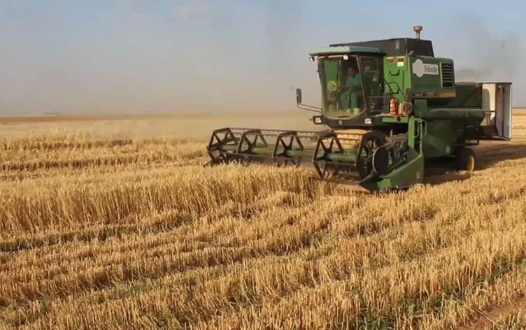 Rêveberiya Xweser dema wergirtina genim dirêj kir