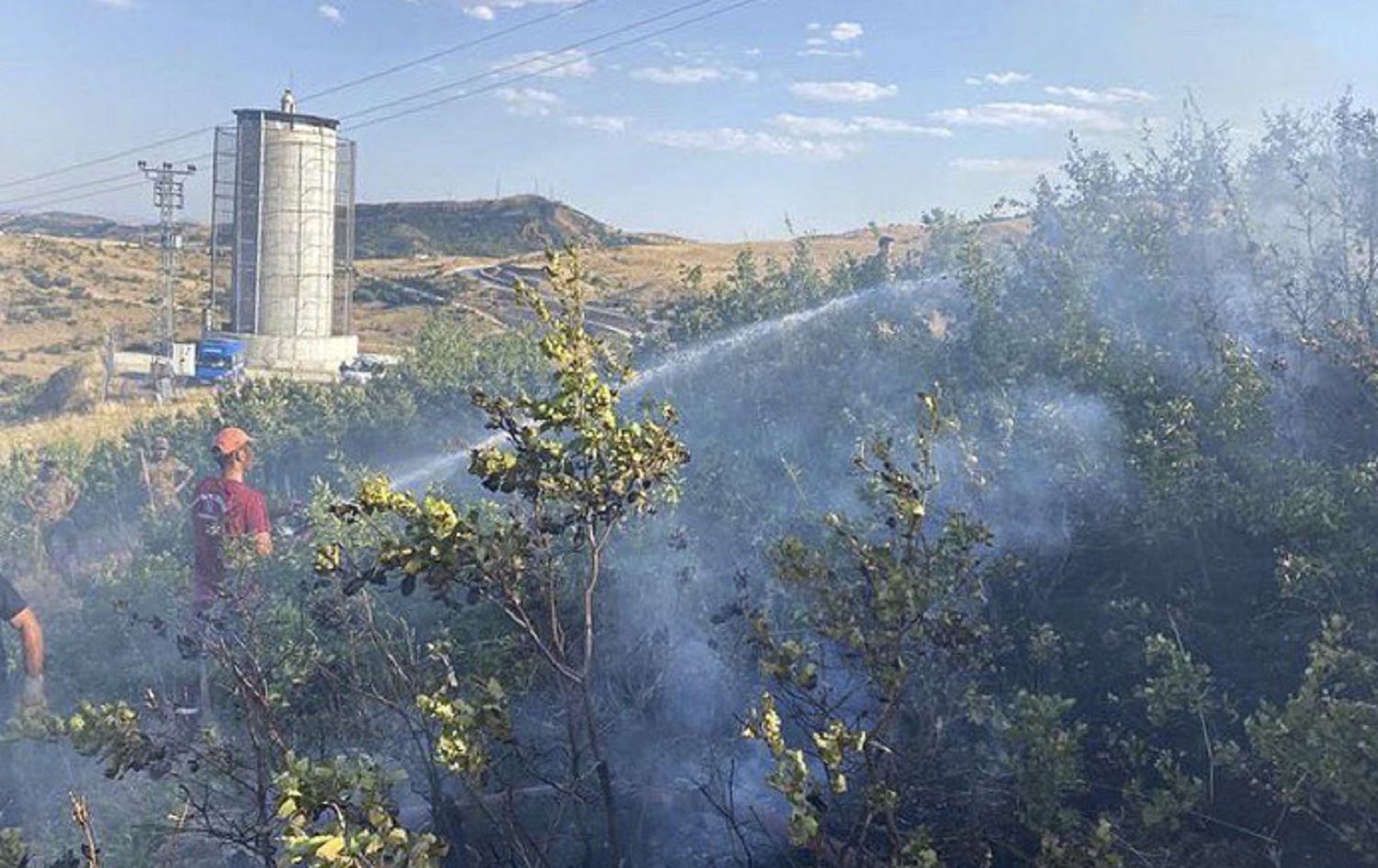 Li Dêrsimê agirê daristanan hat vemirandin