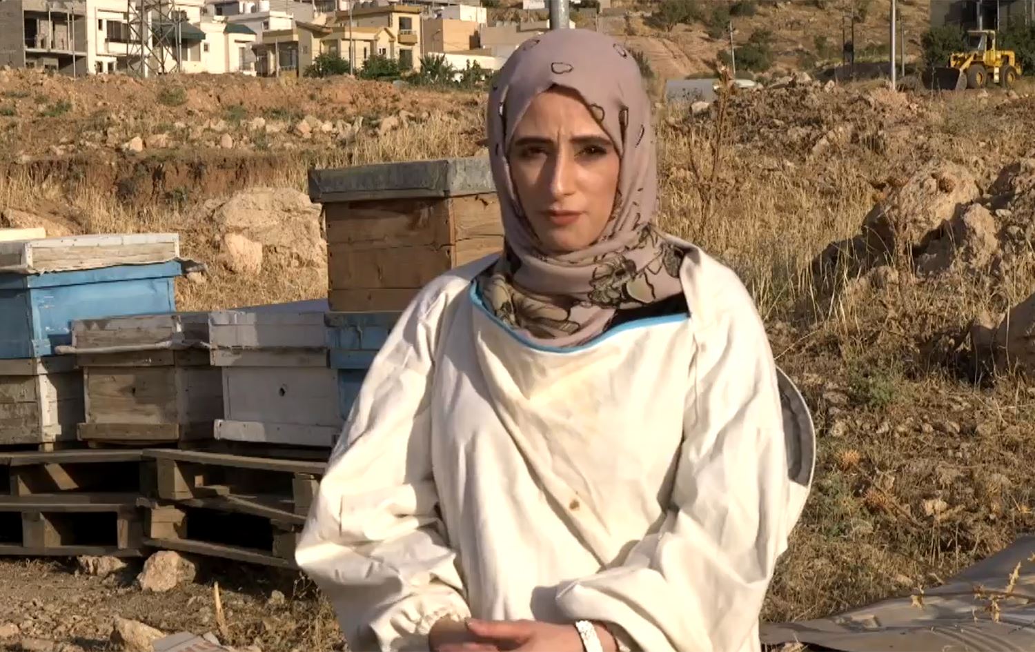 Ji zanîngehê derçû dest bi xwedîkirina mêşhingivan kir