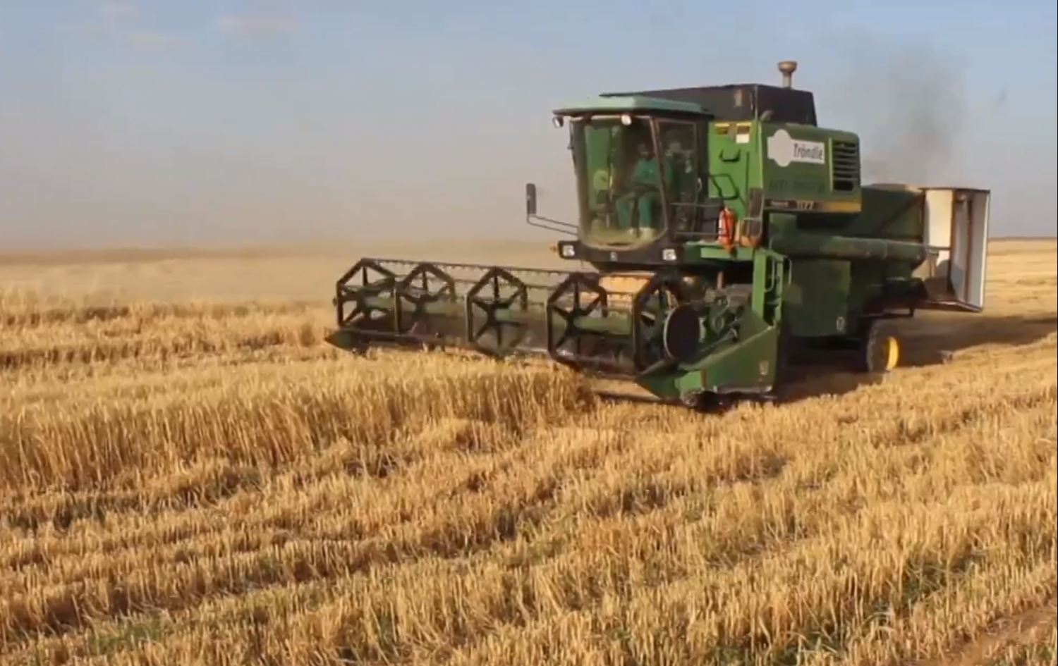 Li Sûriyê û Rojavayê Kurdistanê werzê dirûn û wergirtina genim bi dawî hat