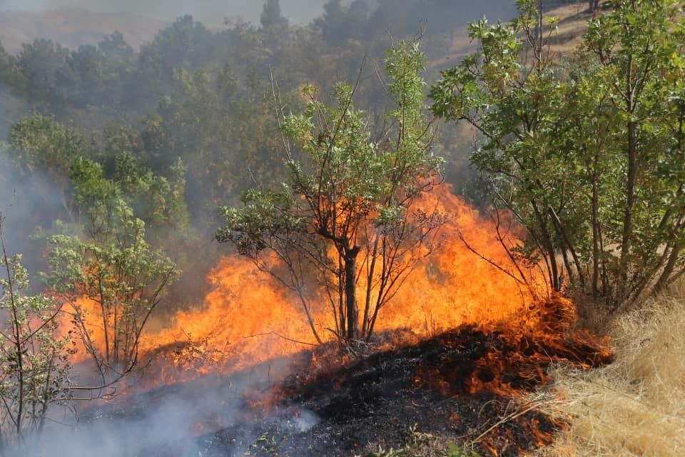 سەرچاوە سرووشتییەکانی سنە: ئاگرکەوتنەوە بەراورد بە ساڵی رابردوو کەمبووە