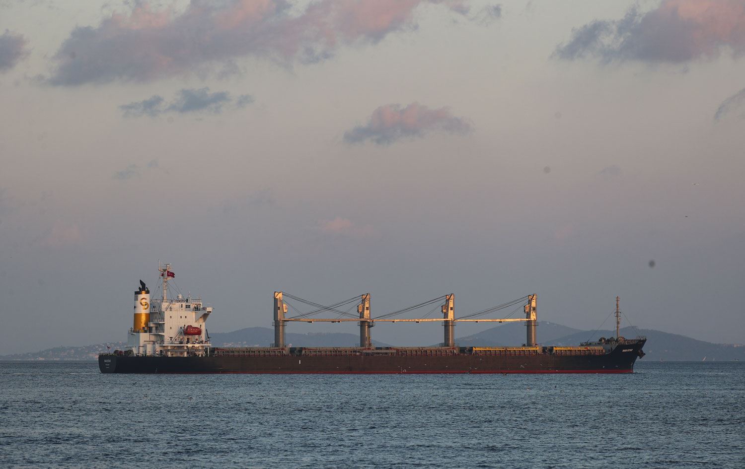 Tahıl taşıyan 2 gemi daha Ukrayna'dan hareket etti