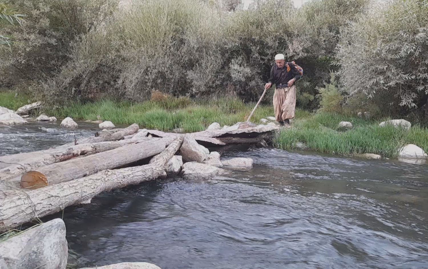 Hişkesaliyê bandor li Sewlawa ya Rojhilatê Kurdistanê nekiriye