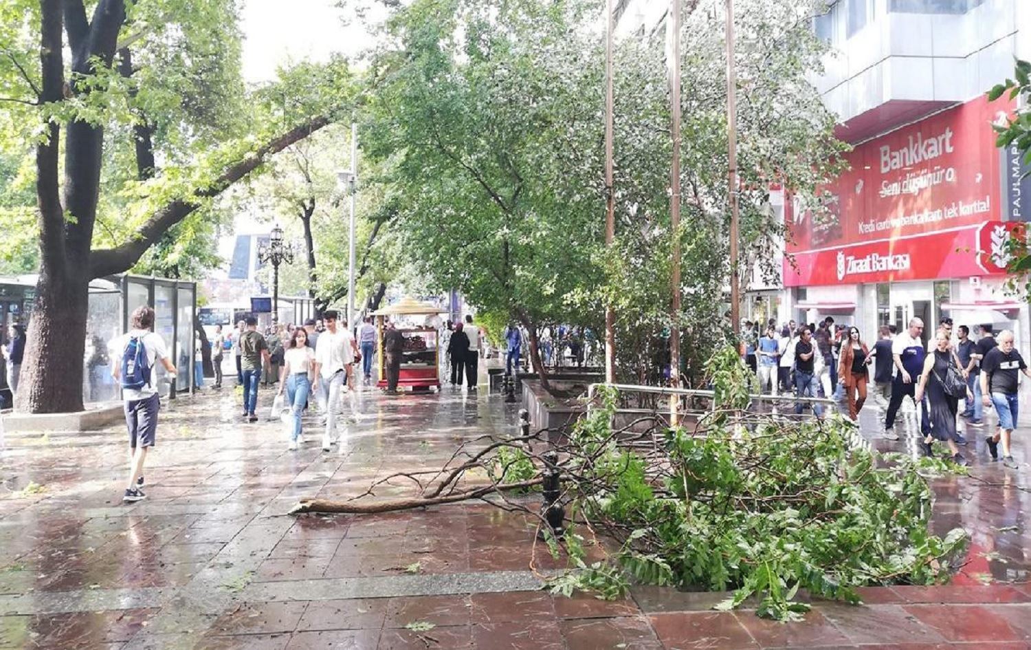 Li Enqerê bahoz: Kesekî canê xwe ji dest da û 2 kes jî birîndar bûn