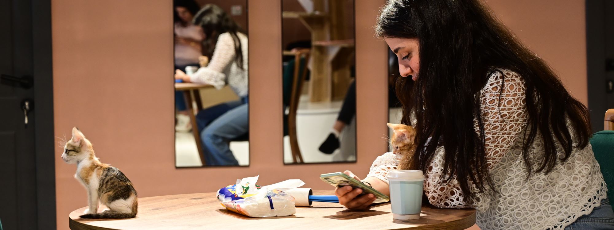 FOTO – Erbil’de bir ilk; Kedi Cafe