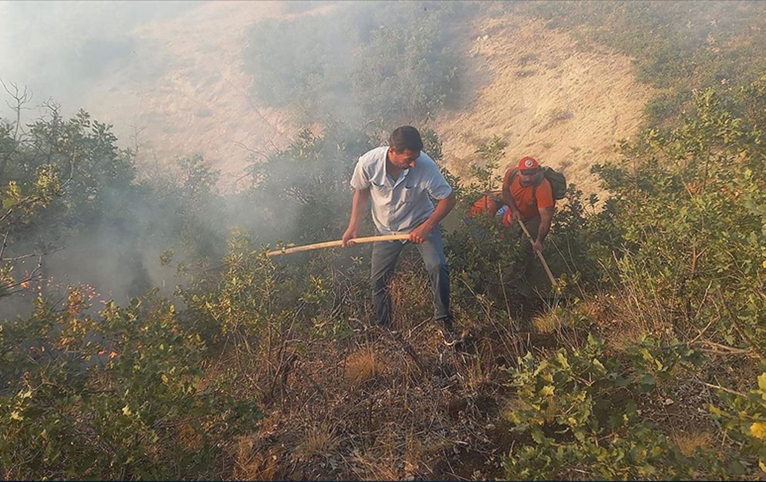 Dersim’deki örtü yangını söndürüldü