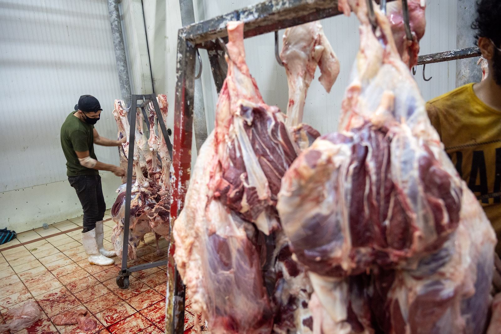 کوشتارگەی ھەولێر: 80%ی پێداویستیی گۆشت، بە گۆشتی بەستوو و ئاژەڵی نەخۆش پڕدەکرێتەوە