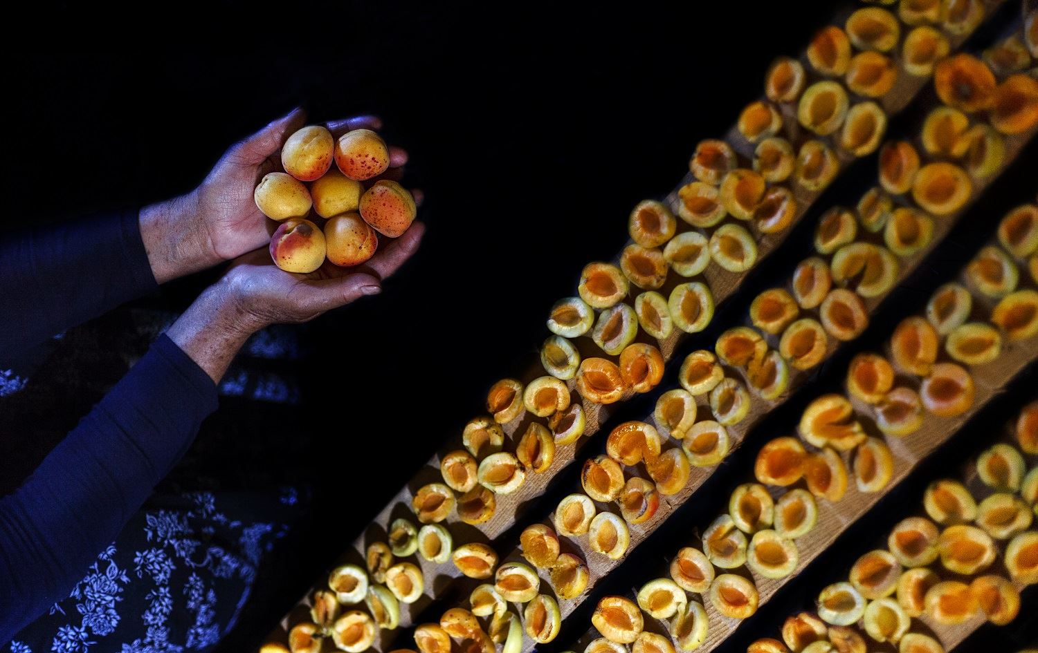 Li Meletiyê di 20 rojan de bi 16 milyon dolaran qeysî hatin hinardekirin