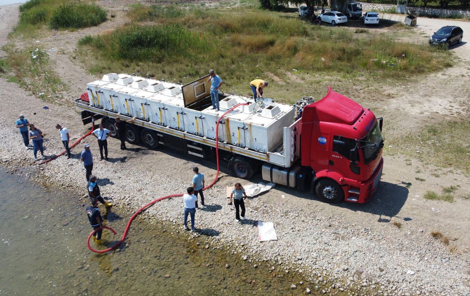 Diyarbakır sularına yaklaşık 3 milyon sazan bırakıldı