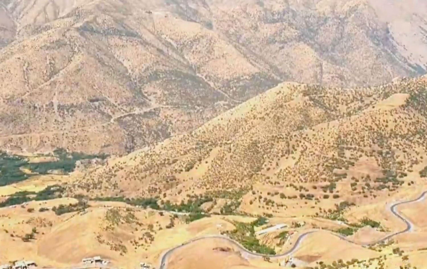 بەرپرسانی پاوە: هەوڵدەدەین رێگری بکەین لە وشکبوونی باخەکانی هەورامان