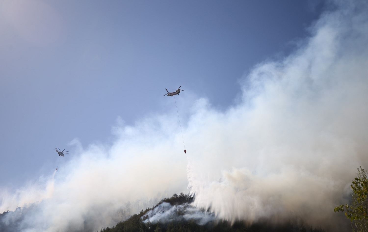 Maraş'ta orman yangını