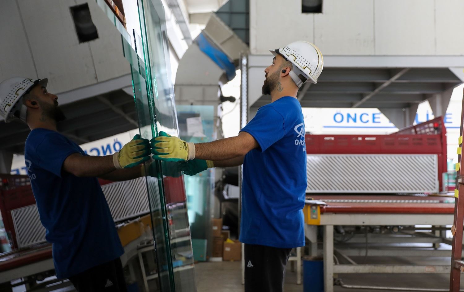 Li Amedê salane 50 hezar metrekare cama xweragir bo Holandayê tê hinardekirin