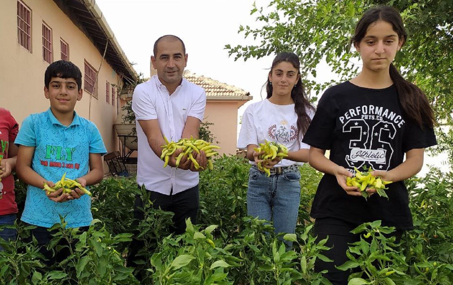 Li Şirnexê şînkatiyên li baxçeyê dibistanê hatin çandin li kesên hewcedar tên belavkirin