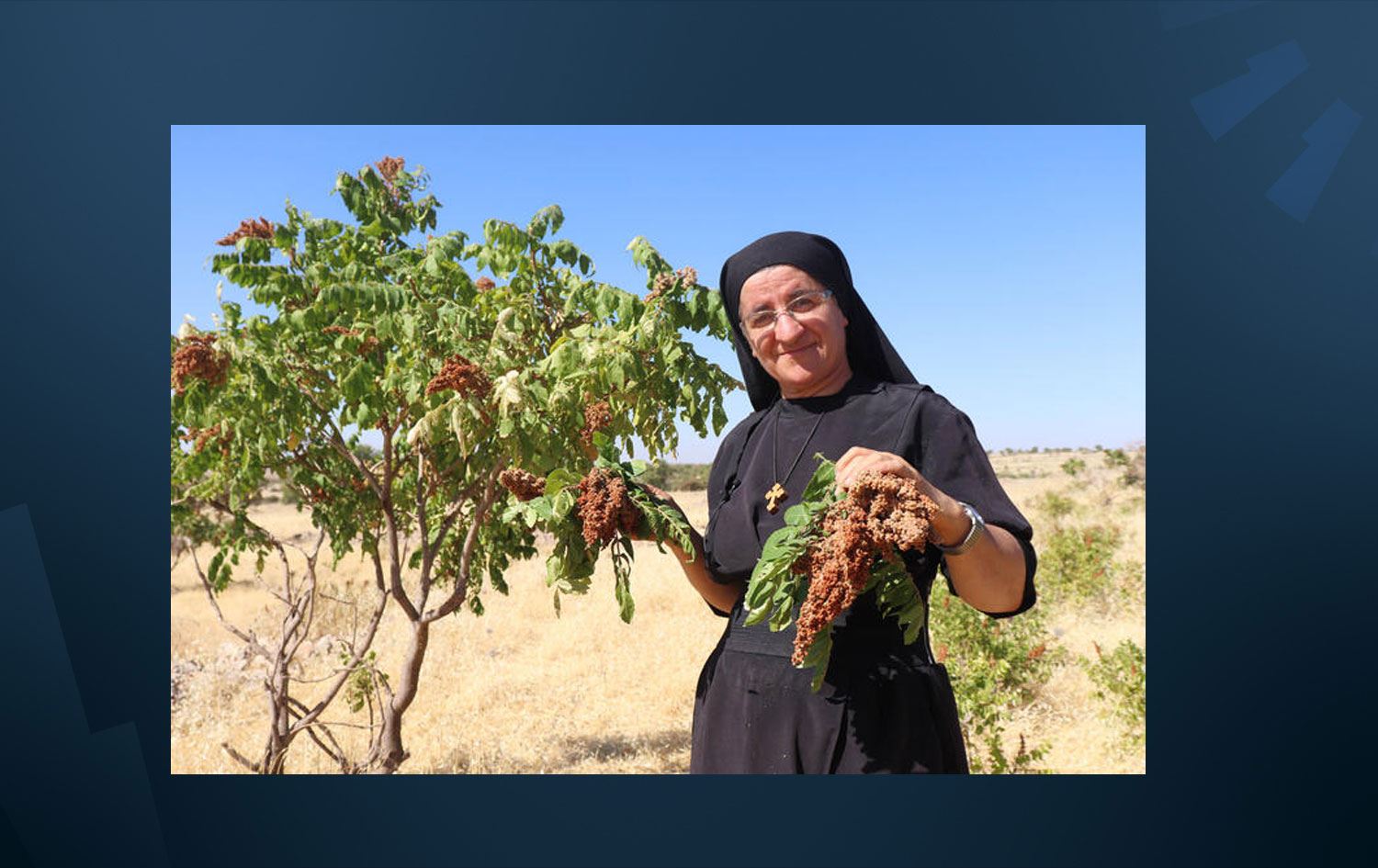 Avrupa'dan Midyat'taki köyüne dönmüştü: 14 dil bilen Süryani rahibe tarımla uğraşıyor