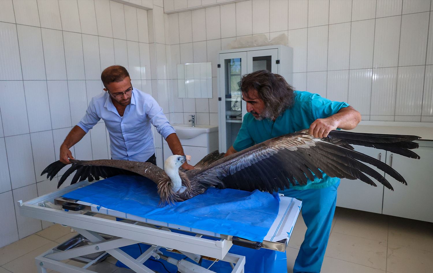 Wan: Navendek ajelên kovî derman dike û berdide xwezayê