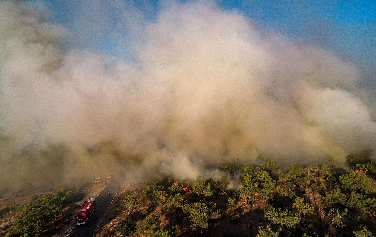 Mersin'deki orman yangını kontrol altına alındı