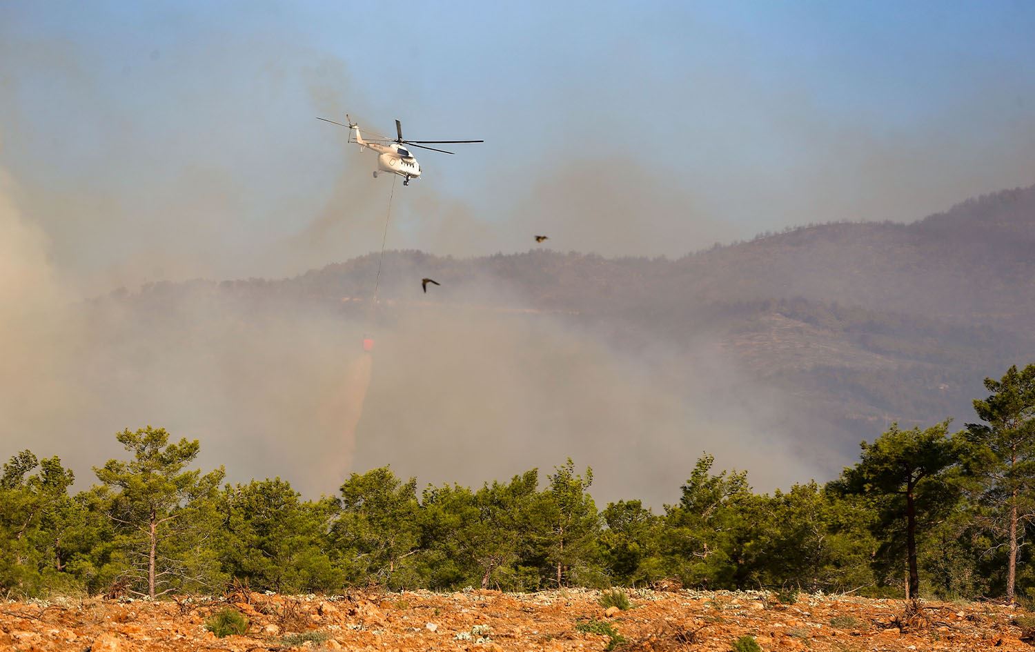 ئاگری دارستانەکانی مێرسین کوژایەوە