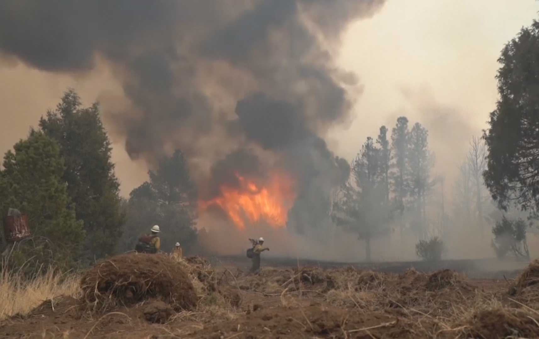 زیاتر لە 600 خانوو لە شارۆچکەیەکی کالیفۆرنیا مەترسیی سووتانیان لەسەرە