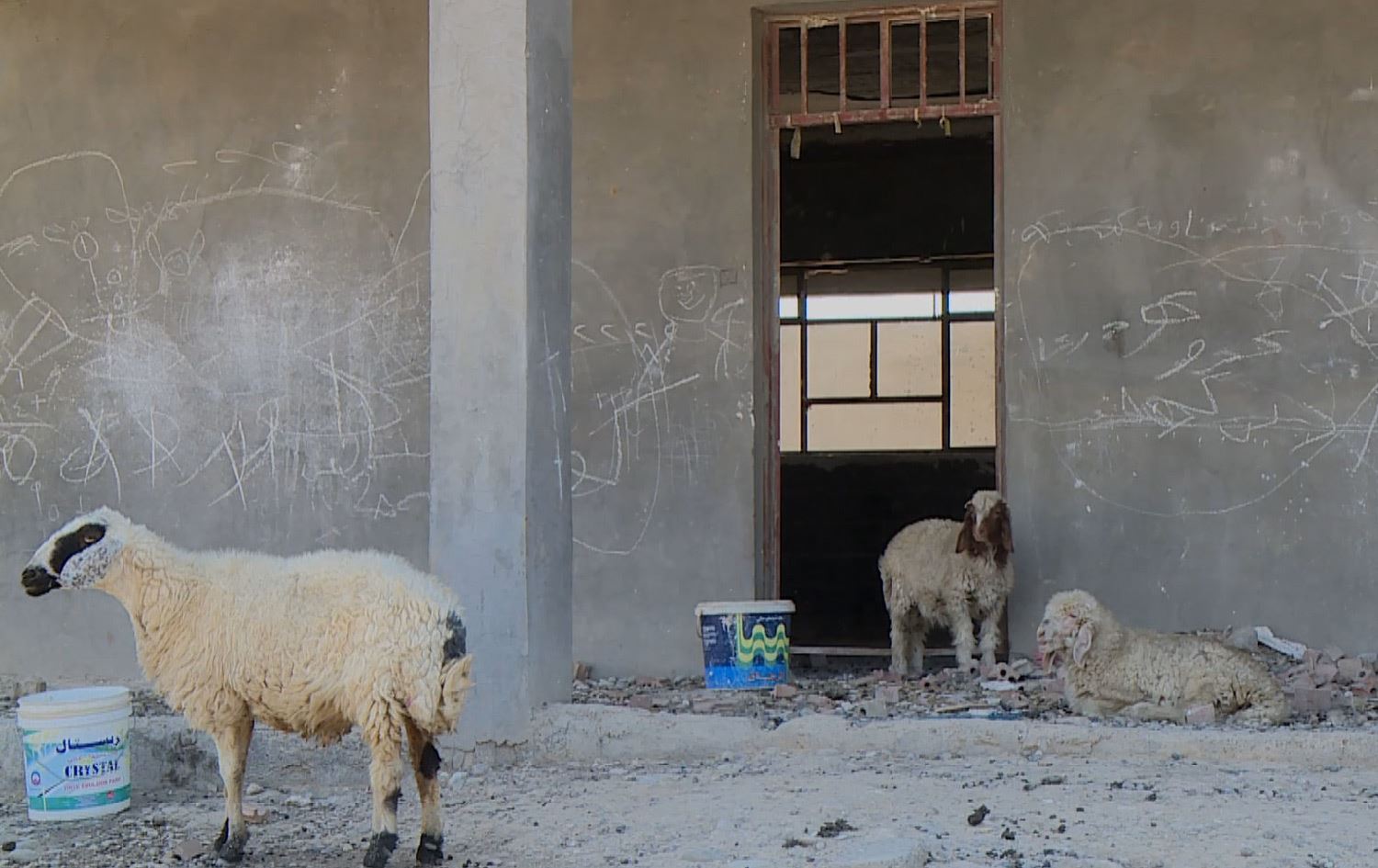 لە خورماتوو خوێندنی کوردی هەڕەشەی لەسەرە؛ هەشت قوتابخانە داخراون