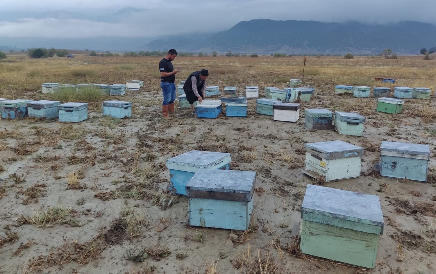 Li Gurgumê lehî rabû: Kewarên mêşan li ber avê çûn