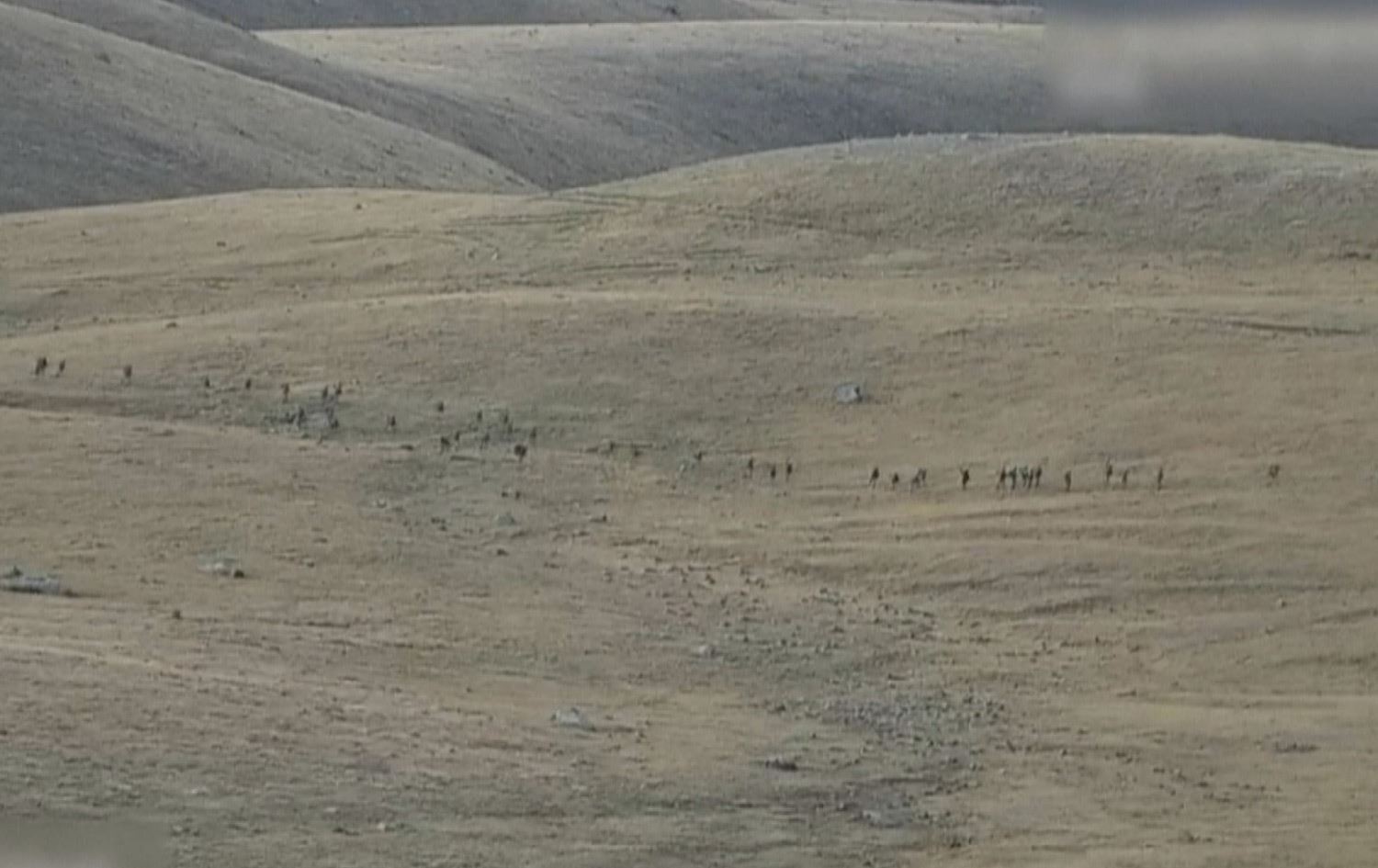 لە شەڕی نێوان ئەرمینیا و ئازەربایجان نزیکەی 100 سەرباز لە هەردوولادا کوژران