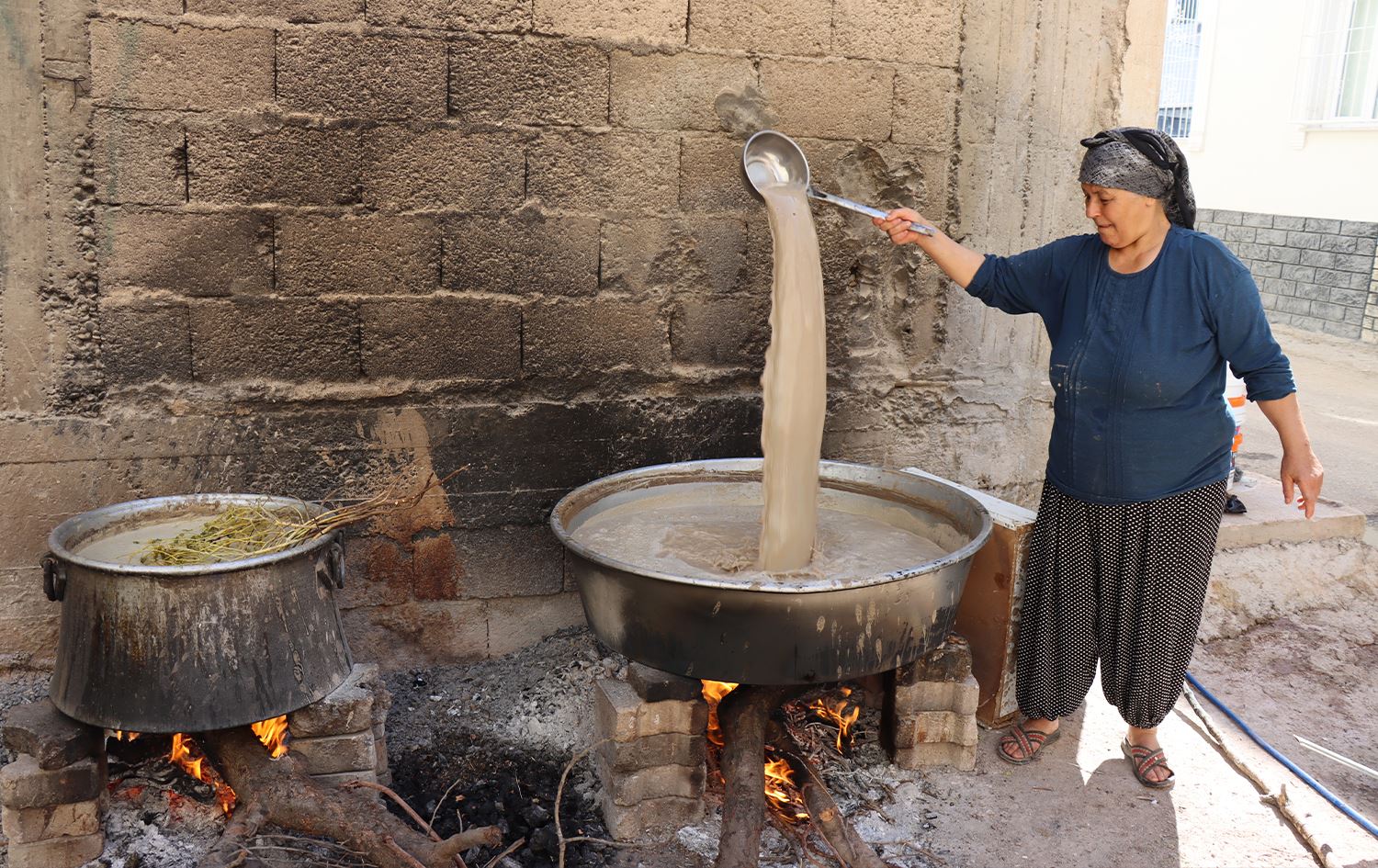 Li Kilîsê 500 ton dimsê şîrîn hatiye berhemanîn