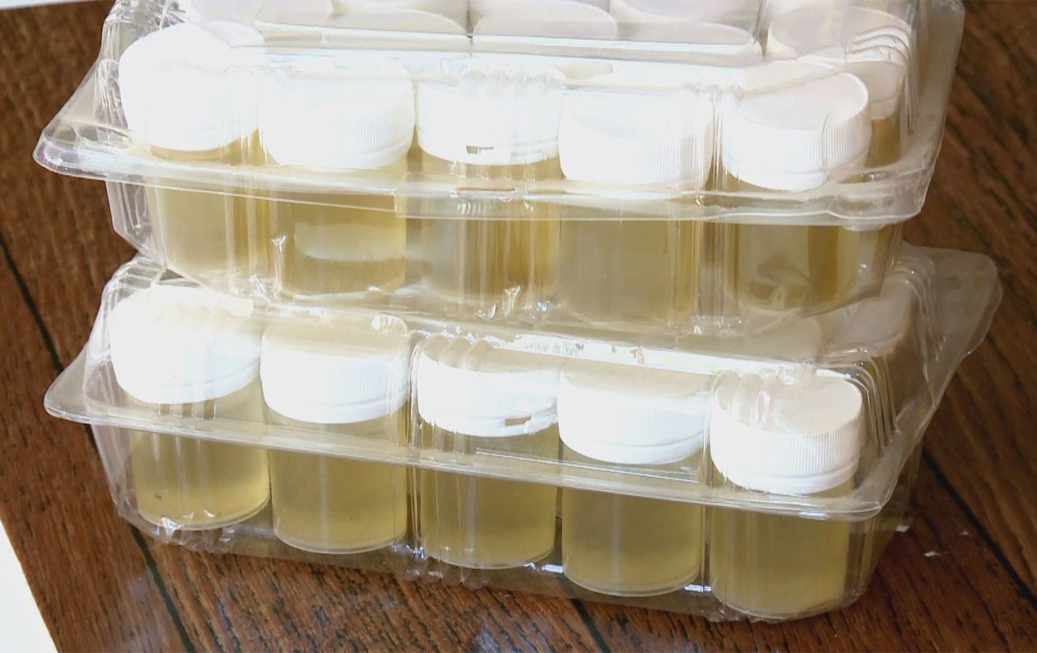 Mêşvan li Colemêrgê dest bi hilberîna jehra mêşan dikin