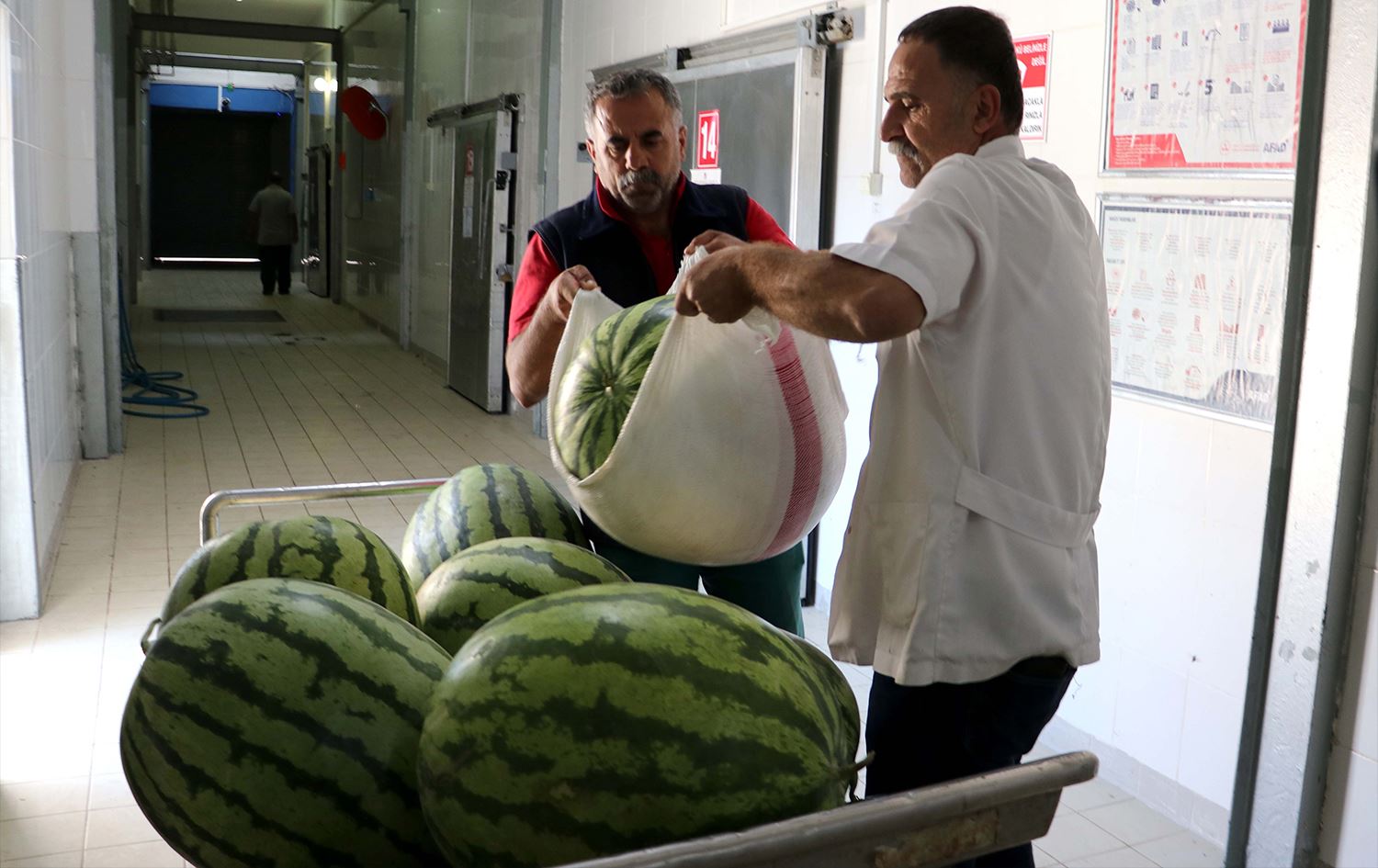 Dîroka 12emîn Festîvala Zebeşên Amedê diyar bû