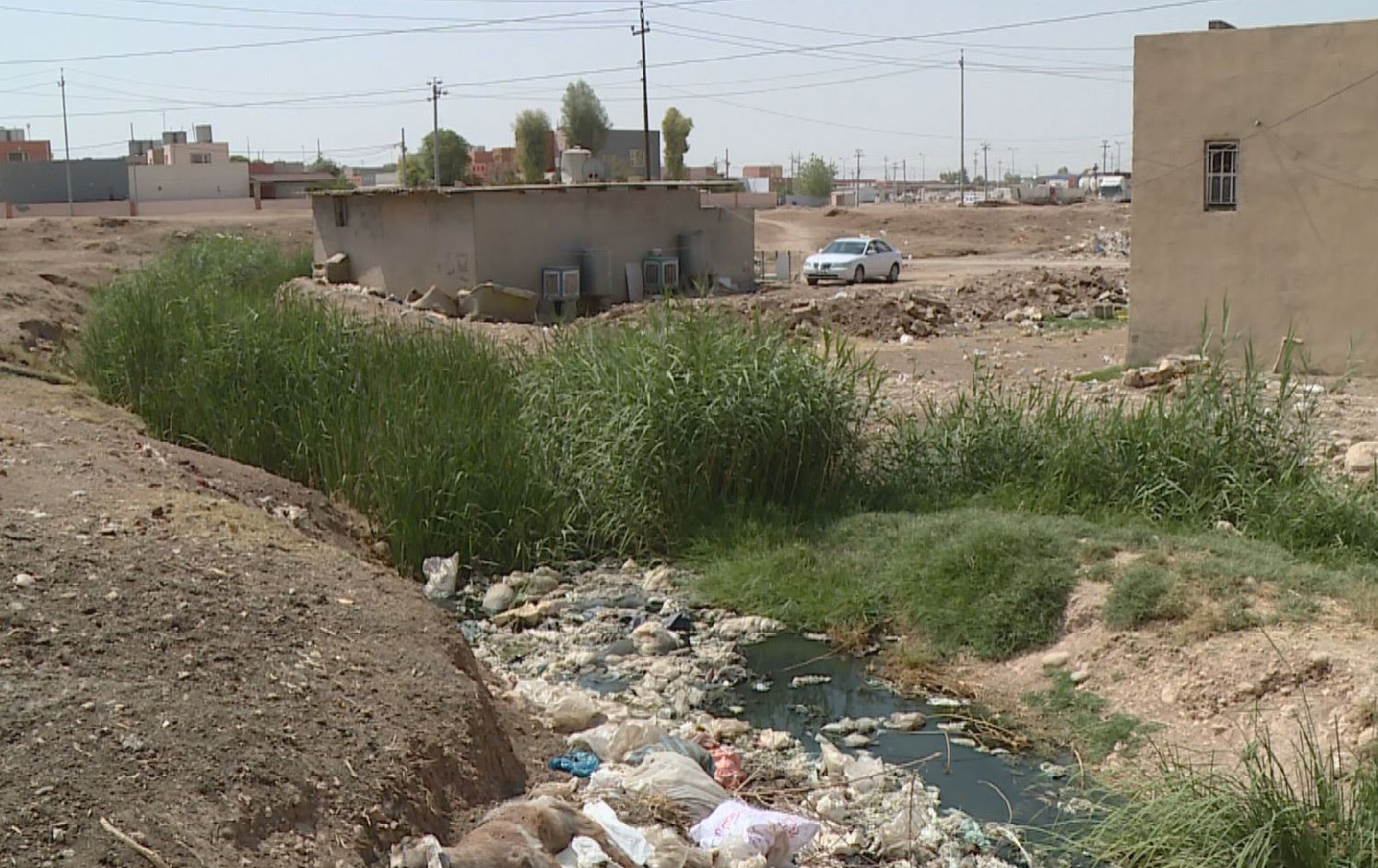 خاوەن موەلیدەیەکی ئەهلی لە هەولێر: 20 ساڵە هێندەی ئەمساڵ زیانم نەکردووە