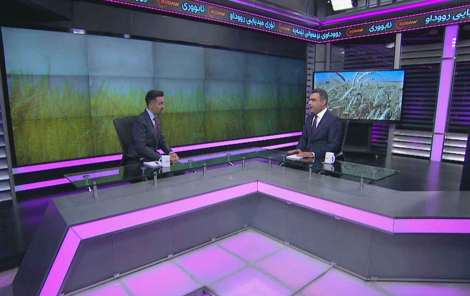 بەرپرسێکی وەزارەتی کشتوکاڵ: ئەمساڵ زیاتر لە 350 هەزار تۆن گەنم بەرهەمهاتووە