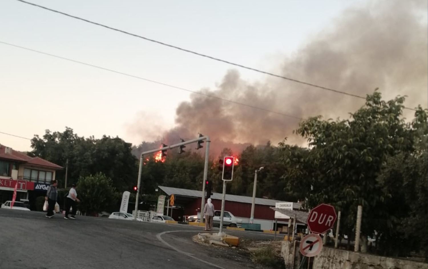 Mugla: Agir bi daristanên nêzîkî cihên niştecihbûnê ket