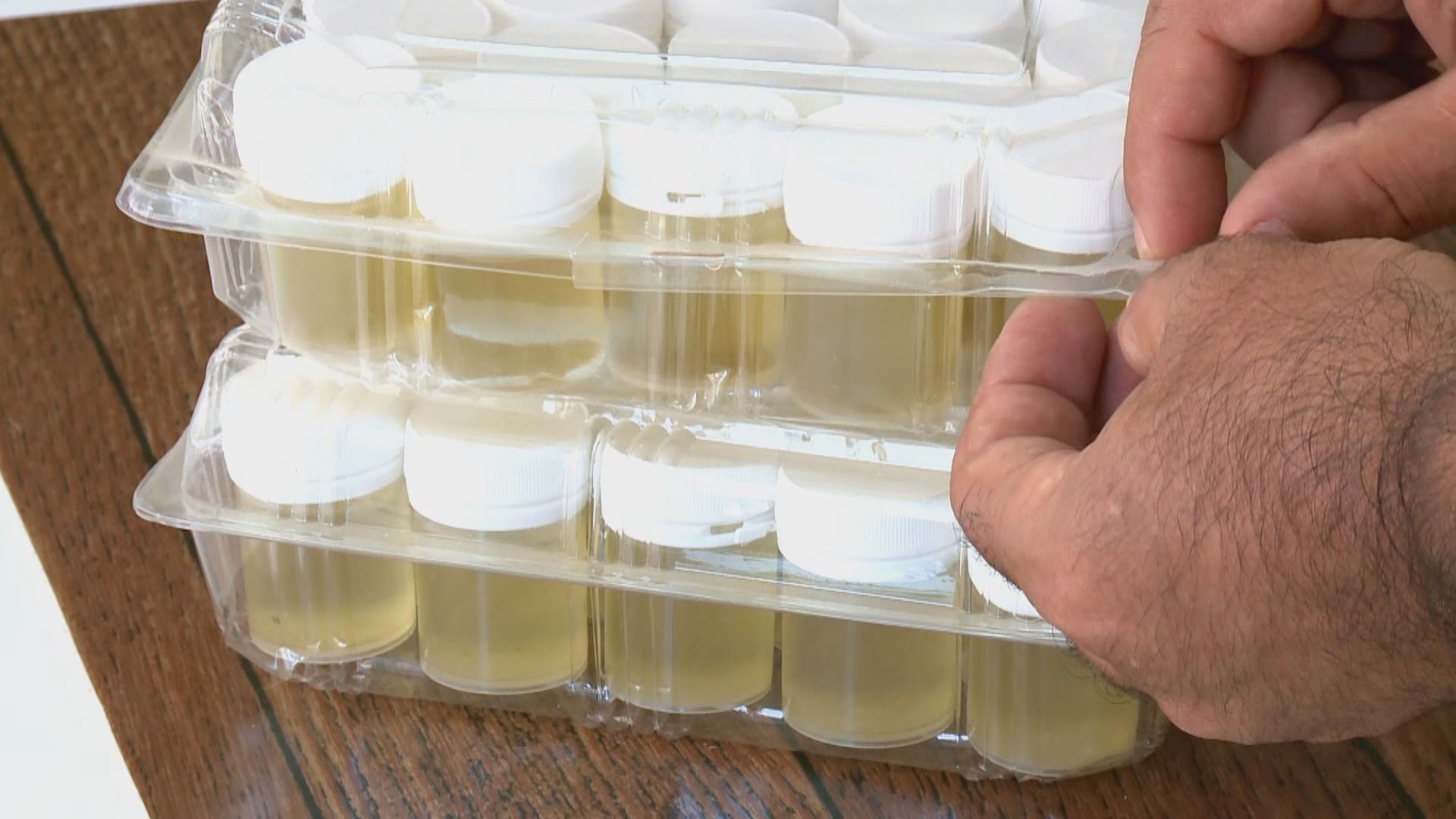 لە جۆلەمێرگ 'باشترین جۆری ژەهری هەنگ' بەرهەمدەهێنرێت