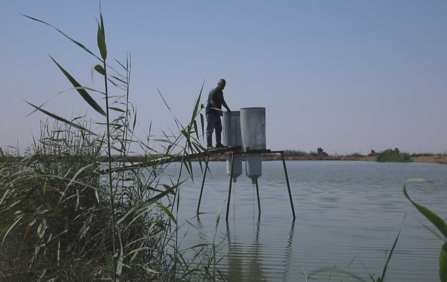 کشتوکاڵی کەرکووک بڕیاری تێکدانی بەشێک لە حەوزەکانی بەخێوکردنی ماسی دەردەکات