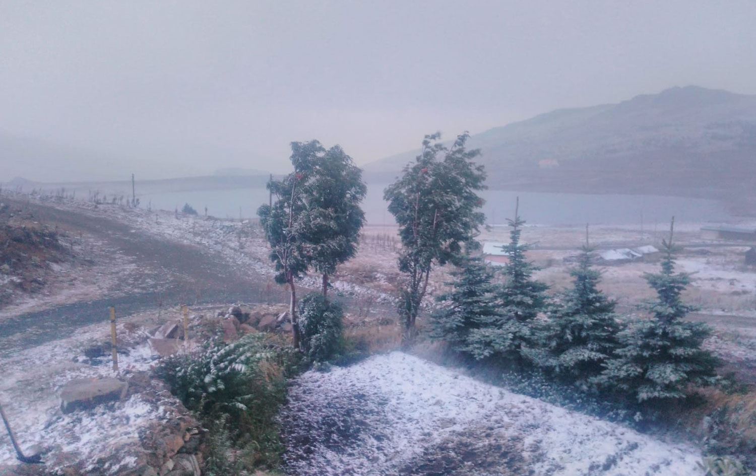 Erzurum, Ardahan ve Kars'a mevsimin ilk karı düştü!