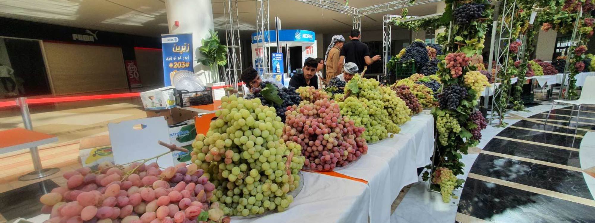 فیستیڤاڵی ترێ و هەنگوین لە دهۆک