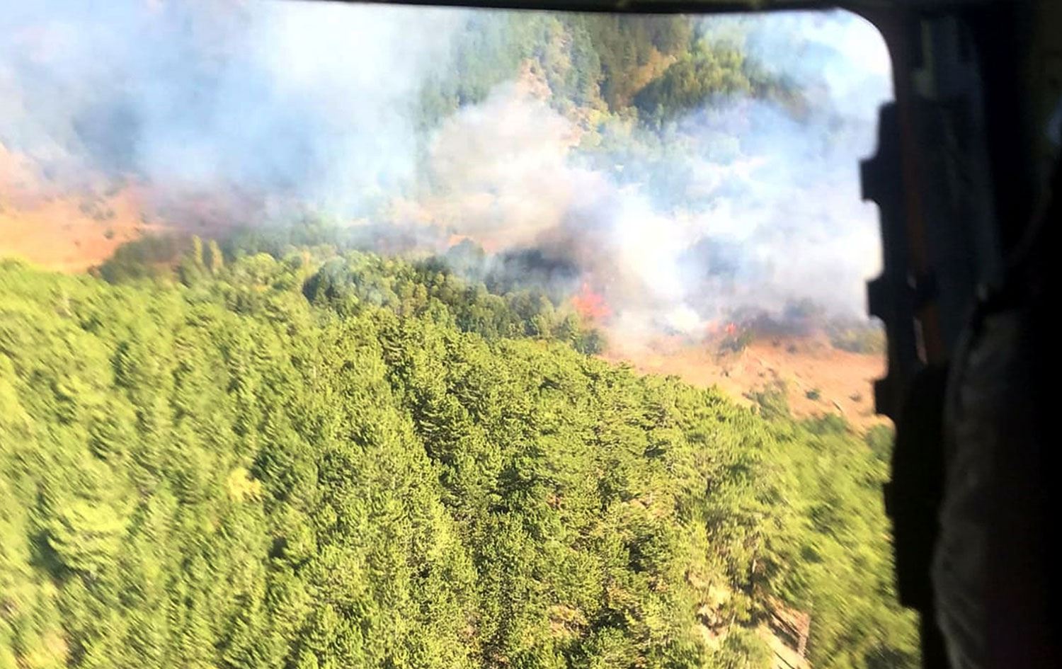 Kütahya'da orman yangını çıktı