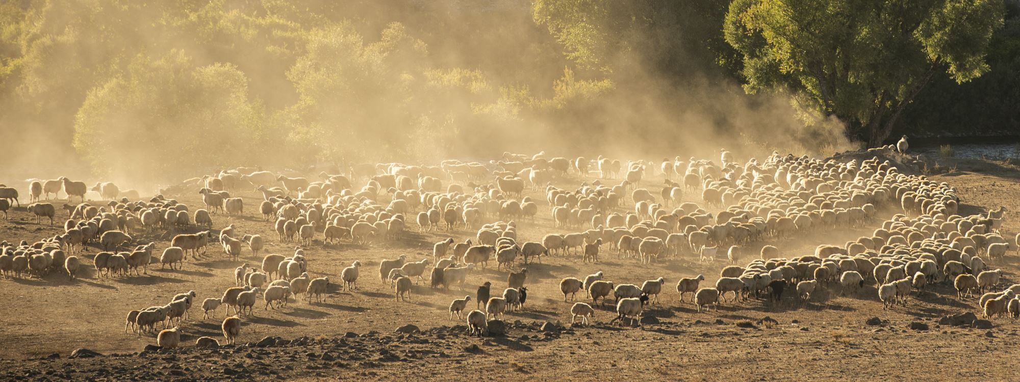 Göçerlerin Munzur ve Mercan Dağları'ndan köylerine zorlu dönüşü başladı