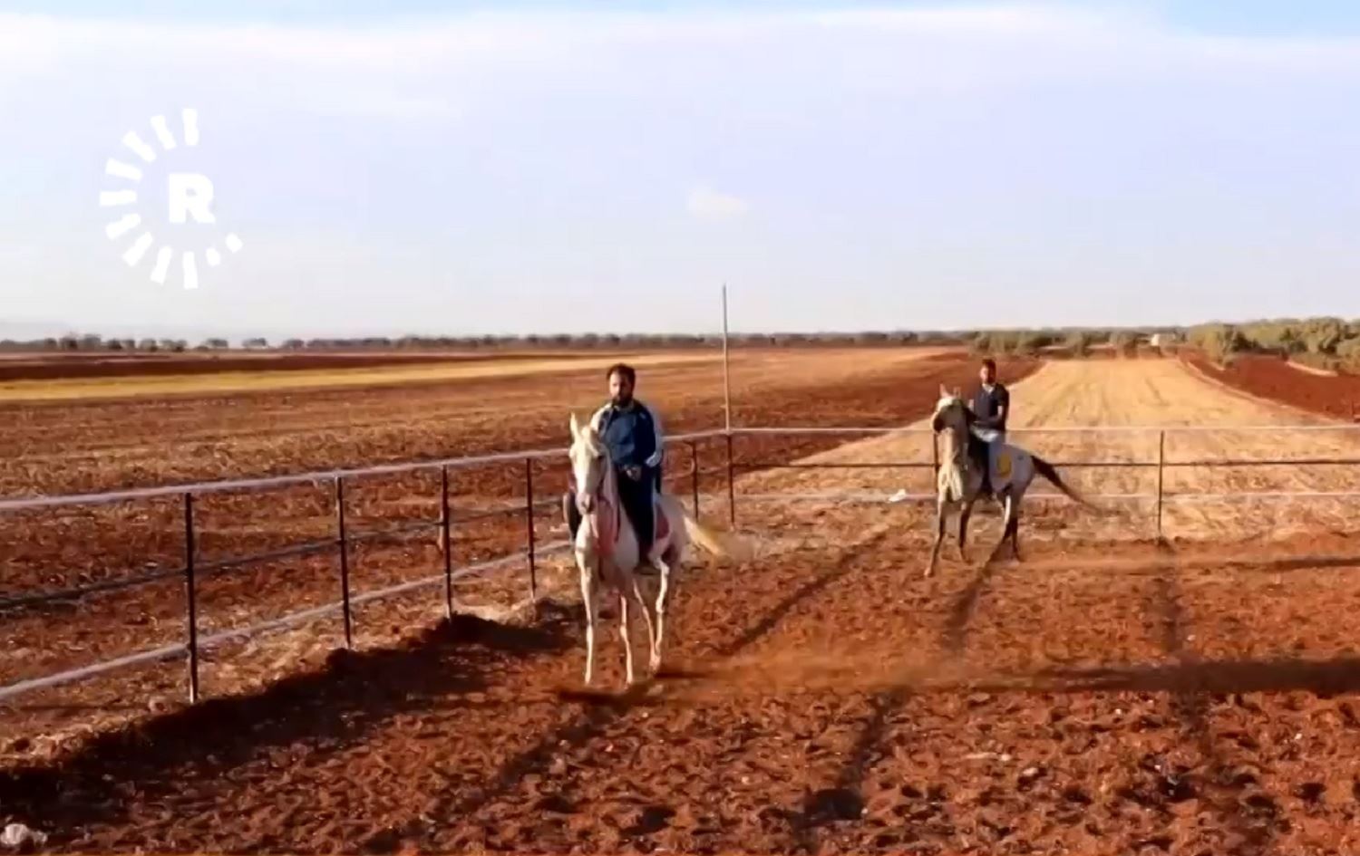 Idlib: Metirsiya jinavçûnê li ser hespên Erebî heye