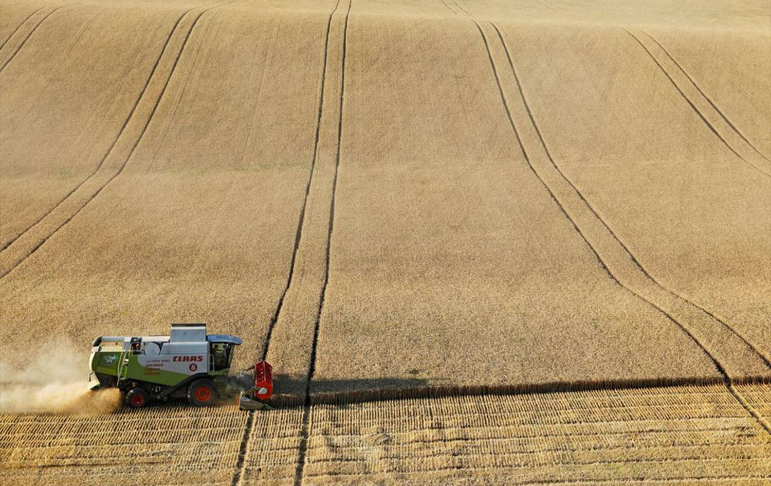 پووتین: رووسیا ئاستێکی پێوانەیی لە بەرهەمهێنانی دانەوێڵە تۆماردەکات