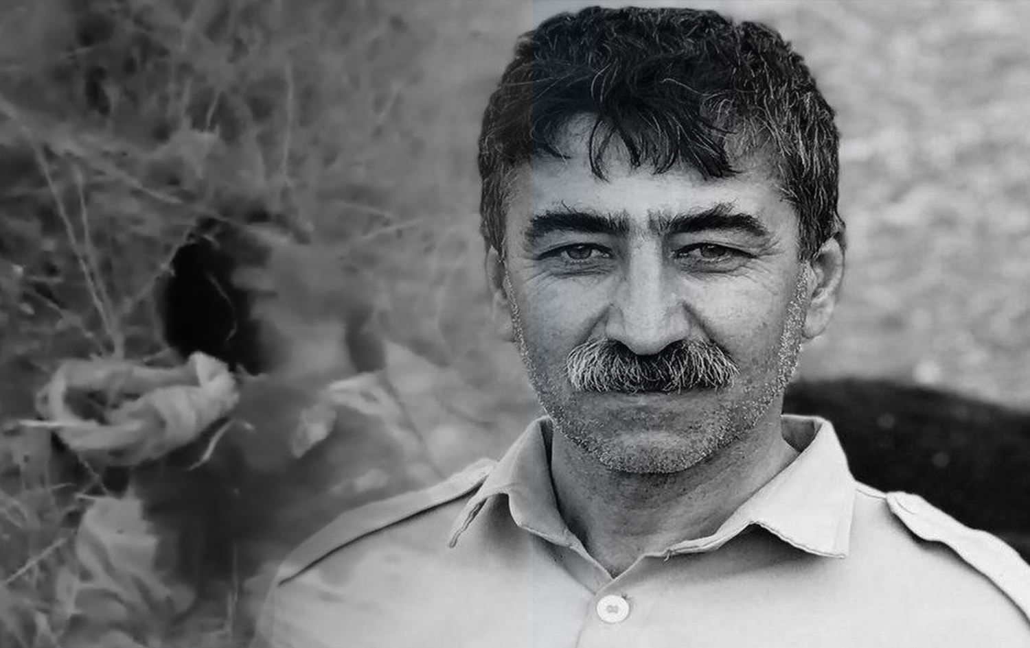 Hêzên Îranê gule berdane sîngê kolberekî