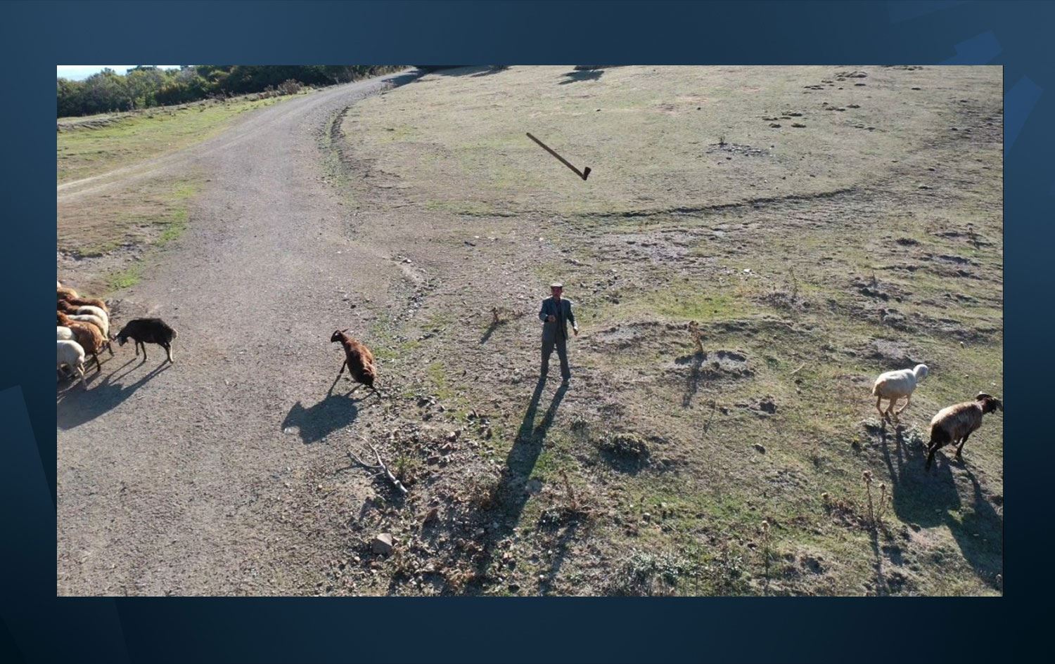 Drone sesi sürüyü ürkütüp dağıttı; çoban balta fırlattı