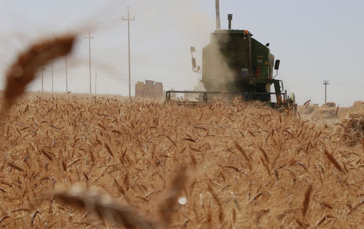 عێراق بڕیاریدا پارەی قەرزی گەنمی جووتیارانی هەرێمی کوردستان بدات